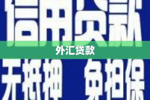 郁南外汇贷款