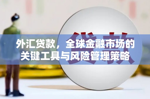 郁南外汇贷款，全球金融市场的关键工具与风险管理策略