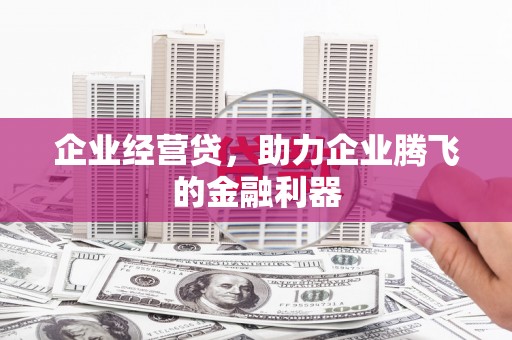 郁南企业经营贷，助力企业腾飞的金融利器
