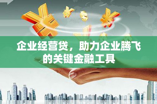 郁南企业经营贷，助力企业腾飞的关键金融工具