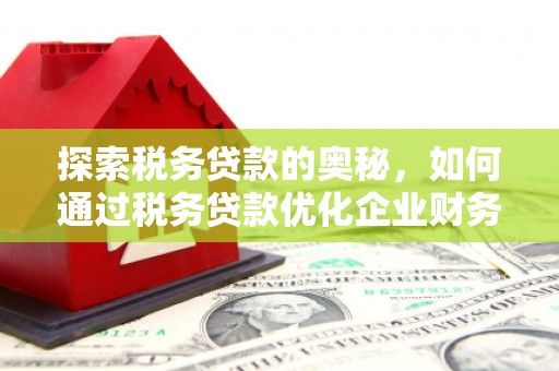 郁南探索税务贷款的奥秘，如何通过税务贷款优化企业财务