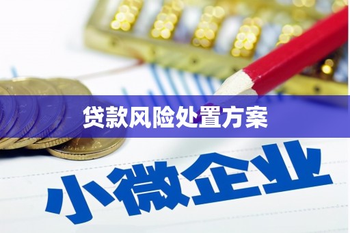 郁南贷款风险处置方案