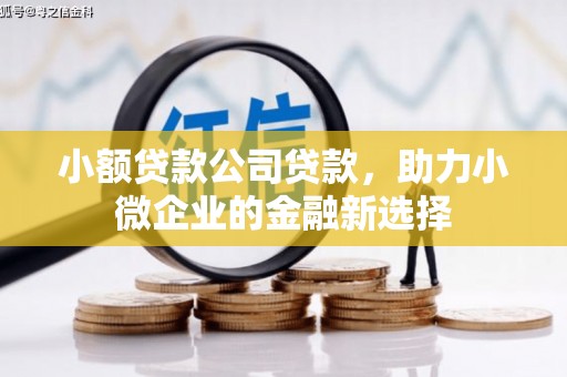 郁南小额贷款公司贷款，助力小微企业的金融新选择