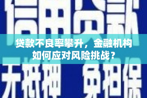 郁南贷款不良率攀升，金融机构如何应对风险挑战？