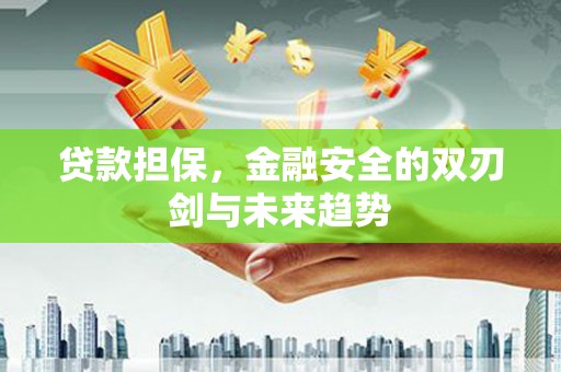 郁南贷款担保，金融安全的双刃剑与未来趋势