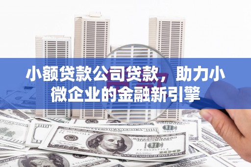 郁南小额贷款公司贷款，助力小微企业的金融新引擎