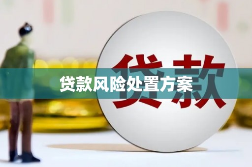 郁南贷款风险处置方案