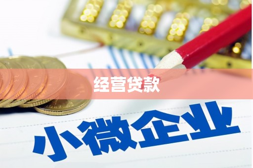 郁南经营贷款