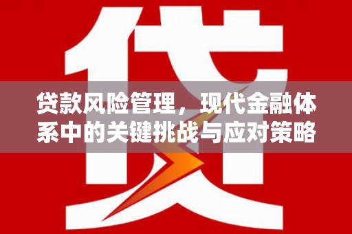 郁南贷款风险管理，现代金融体系中的关键挑战与应对策略