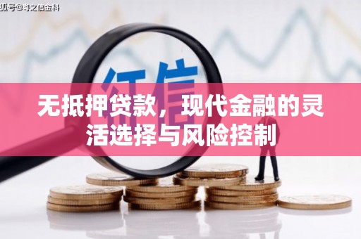 郁南无抵押贷款，现代金融的灵活选择与风险控制
