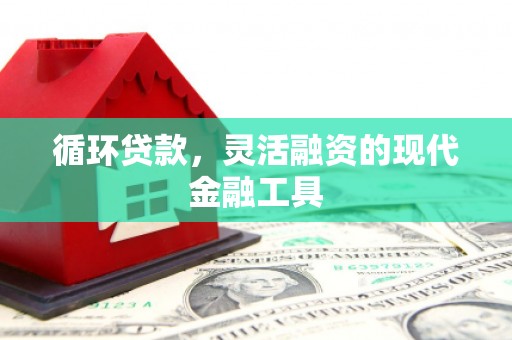 郁南循环贷款，灵活融资的现代金融工具