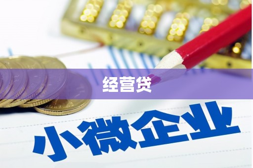 郁南经营贷