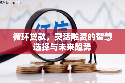郁南循环贷款，灵活融资的智慧选择与未来趋势
