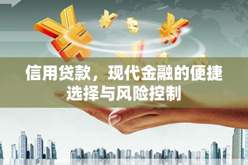 郁南信用贷款，现代金融的便捷选择与风险控制
