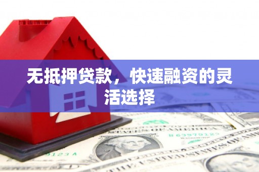郁南无抵押贷款，快速融资的灵活选择