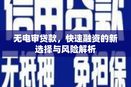 郁南无电审贷款，快速融资的新选择与风险解析
