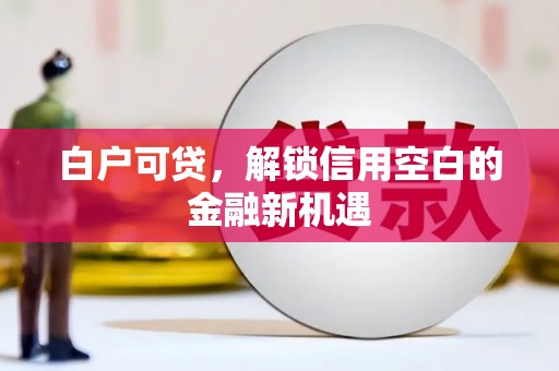 郁南白户可贷，解锁信用空白的金融新机遇