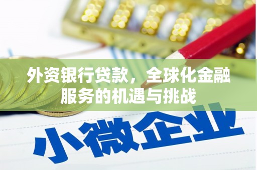 郁南外资银行贷款，全球化金融服务的机遇与挑战