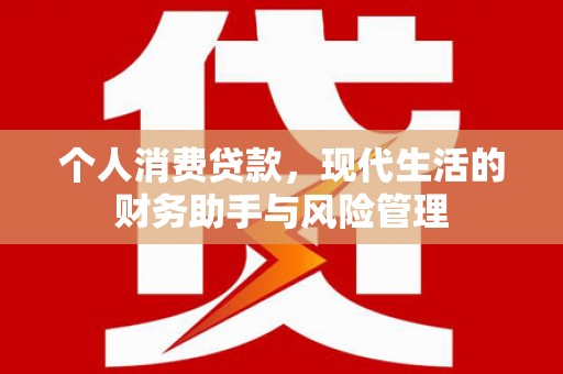 郁南个人消费贷款，现代生活的财务助手与风险管理