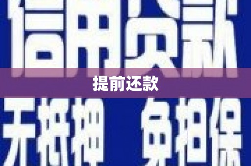 郁南提前还款