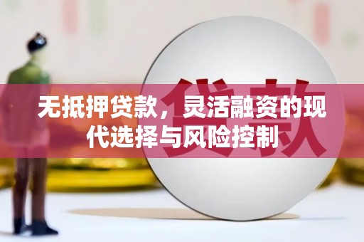 郁南无抵押贷款，灵活融资的现代选择与风险控制