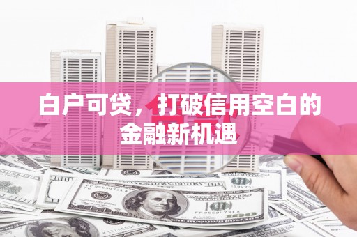 郁南白户可贷，打破信用空白的金融新机遇