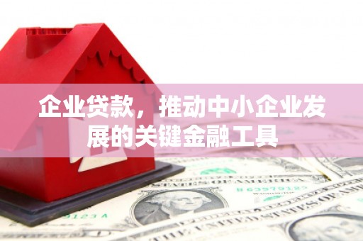 郁南企业贷款，推动中小企业发展的关键金融工具