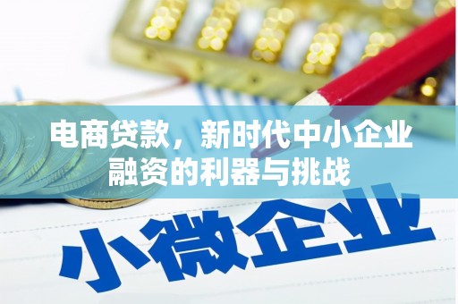 郁南电商贷款，新时代中小企业融资的利器与挑战
