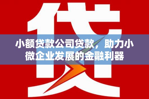 郁南小额贷款公司贷款，助力小微企业发展的金融利器