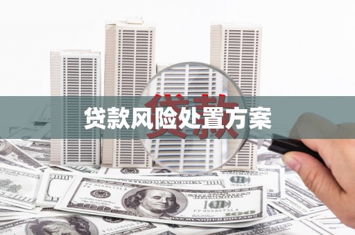 郁南贷款风险处置方案