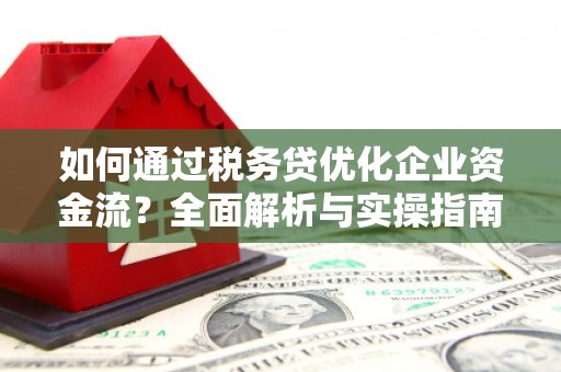 郁南如何通过税务贷优化企业资金流？全面解析与实操指南
