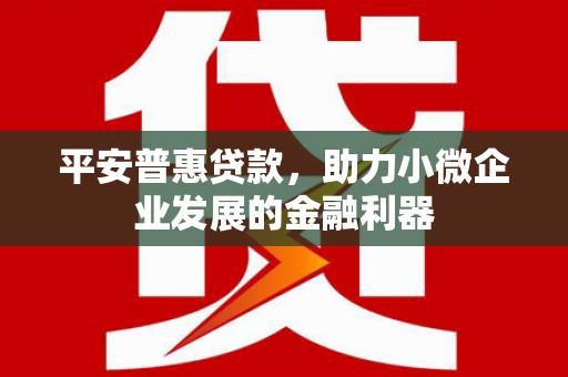 郁南平安普惠贷款，助力小微企业发展的金融利器