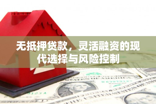 郁南无抵押贷款，灵活融资的现代选择与风险控制