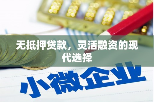 郁南无抵押贷款，灵活融资的现代选择