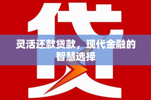 郁南灵活还款贷款，现代金融的智慧选择