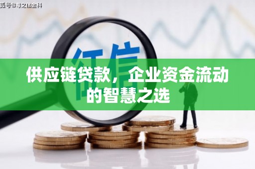 郁南供应链贷款，企业资金流动的智慧之选