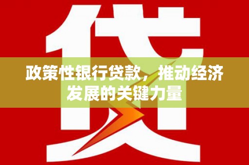 郁南政策性银行贷款，推动经济发展的关键力量