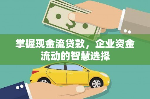 郁南掌握现金流贷款，企业资金流动的智慧选择