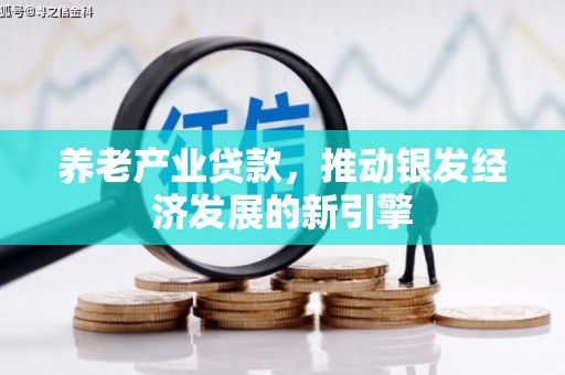 郁南养老产业贷款，推动银发经济发展的新引擎