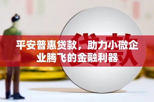 郁南平安普惠贷款，助力小微企业腾飞的金融利器