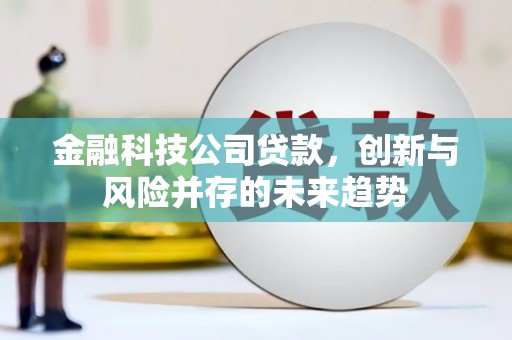 郁南金融科技公司贷款，创新与风险并存的未来趋势