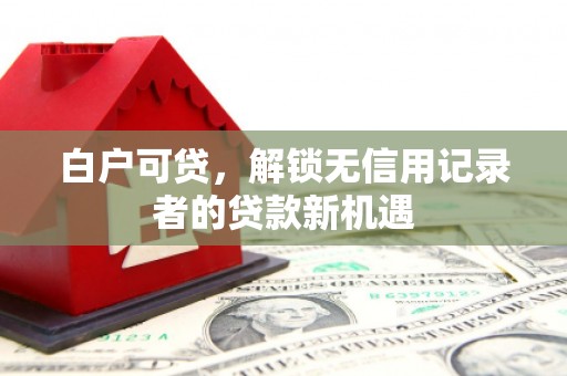 郁南白户可贷，解锁无信用记录者的贷款新机遇