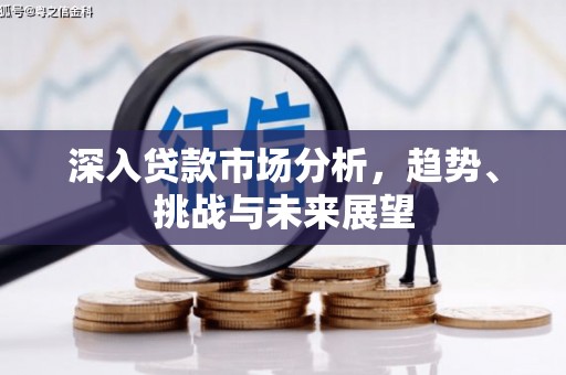 郁南深入贷款市场分析，趋势、挑战与未来展望
