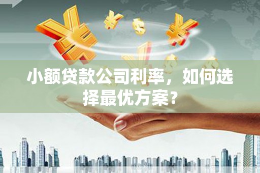 郁南小额贷款公司利率，如何选择最优方案？