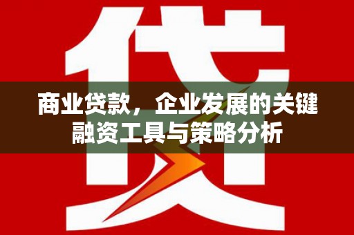 郁南商业贷款，企业发展的关键融资工具与策略分析
