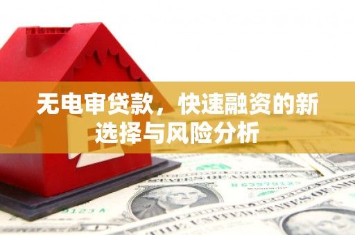 郁南无电审贷款，快速融资的新选择与风险分析