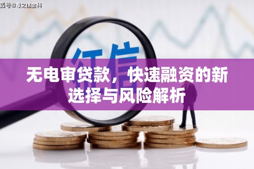郁南无电审贷款，快速融资的新选择与风险解析