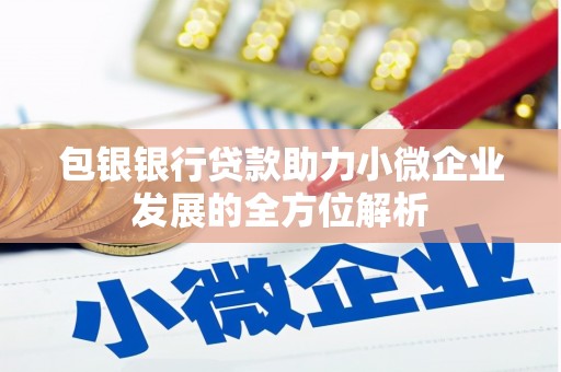 郁南包银银行贷款助力小微企业发展的全方位解析