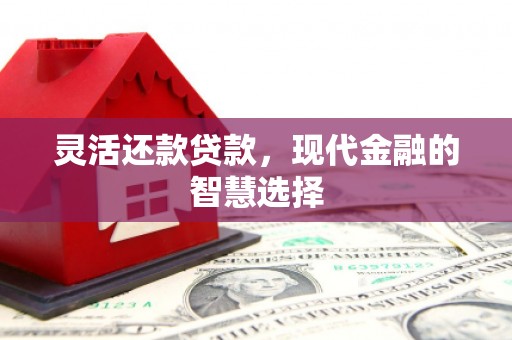 郁南灵活还款贷款，现代金融的智慧选择