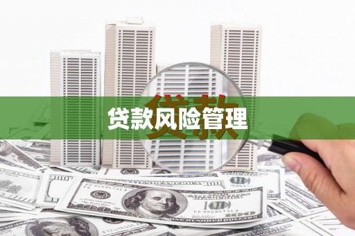 郁南贷款风险管理